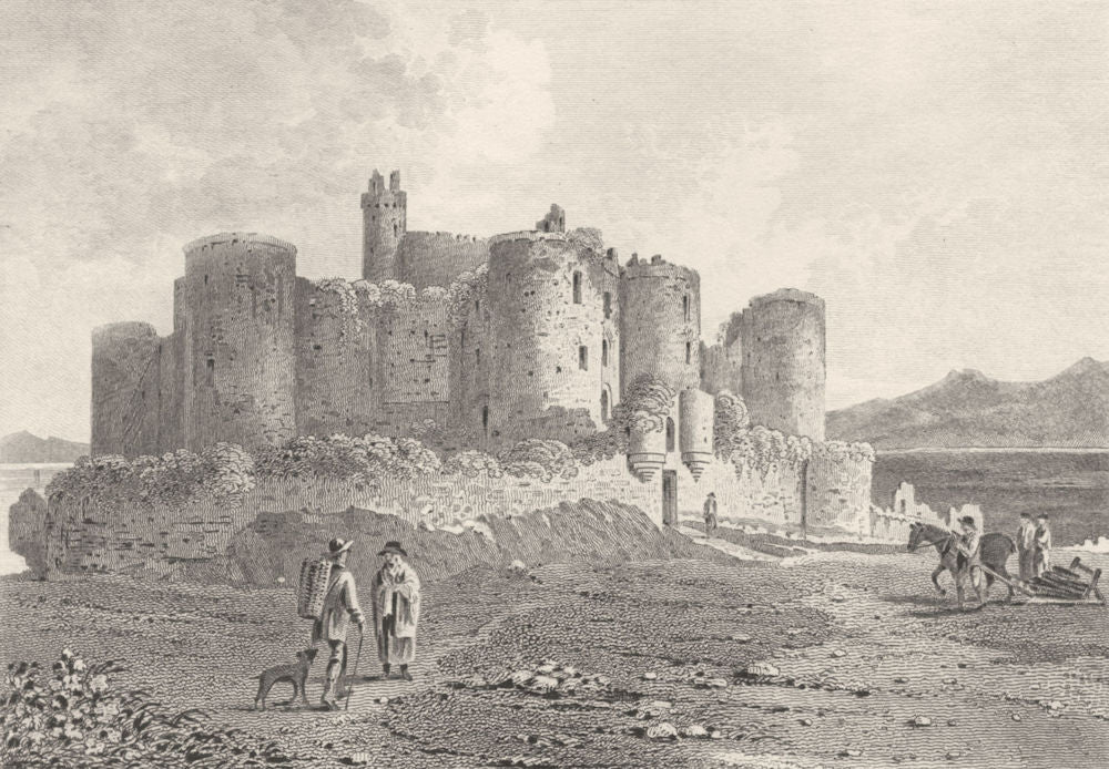 WALES. Harlech Castle. DUGDALE 1845 old antique vintage print picture